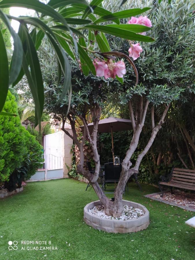 Bodega Intima Apartment Zaragoza Ngoại thất bức ảnh